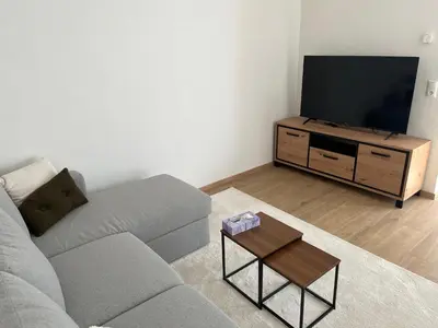 TV/Unterhaltungsangebot in der Unterkunft Rheintraum Soutterain Wohnung mit Sauna