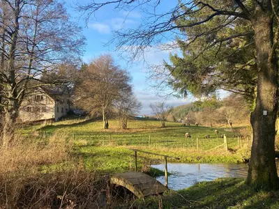 Naturlandschaft in der Nähe der Ferienwohnung