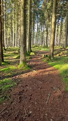 Naturlandschaft in der Nähe der Ferienwohnung