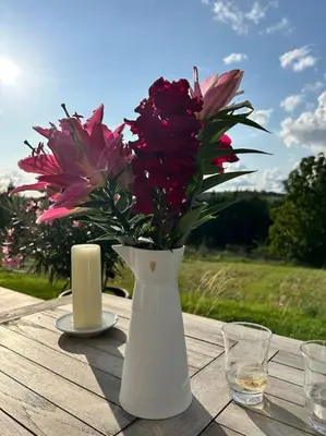 Getränke in der Unterkunft Mosel Urlaub Stabenhof - Whirlpool, Natur und Grill