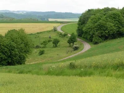Naturlandschaft in der Nähe der Ferienwohnung