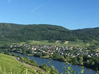 Naturlandschaft in der Nähe des Ferienhauses