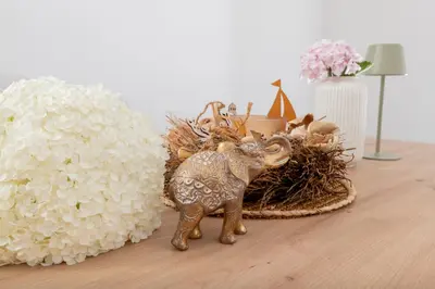 Tiere in der Ferienwohnung oder in der Nähe