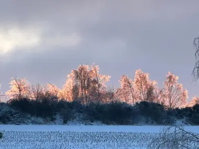 Ferienwohnung Heideberg im Winter