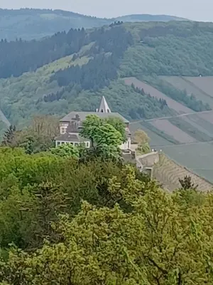 Naturlandschaft in der Nähe der Ferienwohnung