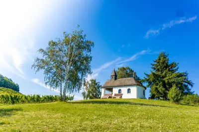 Naturlandschaft in der Nähe der Ferienwohnung