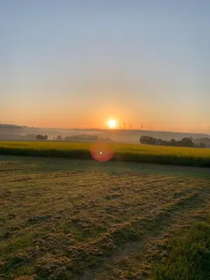 Blick auf den Sonnenuntergang/Sonnenaufgang von der Ferienwohnung aus oder aus der Nähe