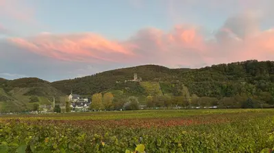 Naturlandschaft in der Nähe des Ferienhauses