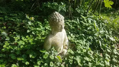 Ein Garten an der Unterkunft Ferienhaus Glücksnest