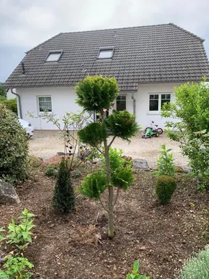 Ein Garten an der Unterkunft OTTOC Ferienwohnung