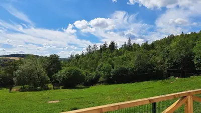 Naturlandschaft in der Nähe der Ferienwohnung