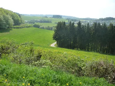Naturlandschaft in der Nähe der Ferienwohnung