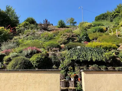 Ein Garten an der Unterkunft Ferienweingut St. Martin
