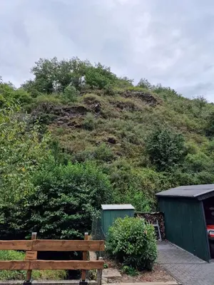 Ein Garten an der Unterkunft DeNi's Ferienwohnungen