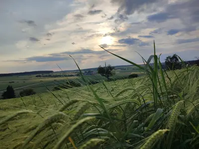 Naturlandschaft in der Nähe der Ferienwohnung