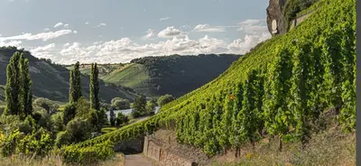Naturlandschaft in der Nähe der Ferienwohnung