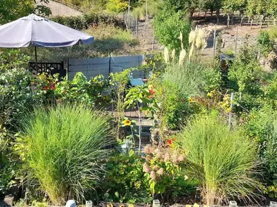 Ein Garten an der Unterkunft Ferienhaus Heimes
