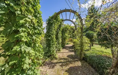 Ein Garten an der Unterkunft Haus Feuerhardt