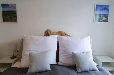 Ein Sitzbereich in der Unterkunft Mosel Appartment Two - MIS