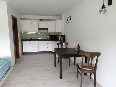 Küche/Küchenzeile in der Unterkunft Apartment mit Rheinblick