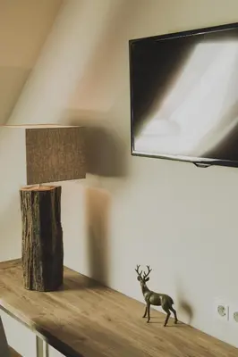 TV/Unterhaltungsangebot in der Unterkunft Weingut Hees - Landgasthof Zum Jäger aus Kurpfalz