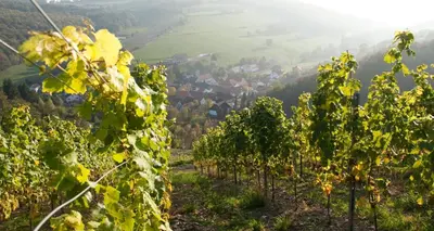 Naturlandschaft in der Nähe des Hotels