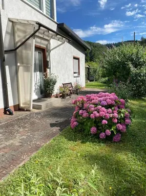 Ein Garten an der Unterkunft Ferienwohnung Bangert
