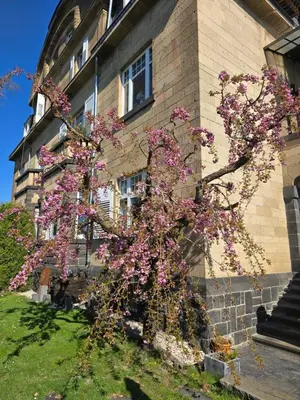 Ein Garten an der Unterkunft Villa Valerius