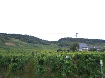 Naturlandschaft in der Nähe des Privatzimmers