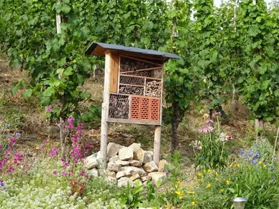 Ein Garten an der Unterkunft Marmann - large holiday apartment