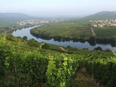 Naturlandschaft in der Nähe des Ferienhauses
