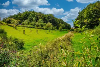 Naturlandschaft in der Nähe des Campingplatzes