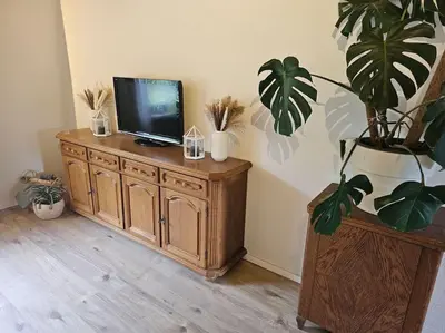 TV/Unterhaltungsangebot in der Unterkunft Giertensmühle Mesenich