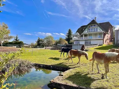 Tiere in der Ferienwohnung oder in der Nähe
