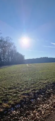 Naturlandschaft in der Nähe der Ferienwohnung