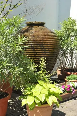 Ein Garten an der Unterkunft Hotel Grüters