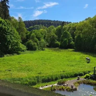 EL MIRADOR - Ferienwohnung Nähe Nürburgring - Eifel - Ahr - Rhein - RENOVIERT