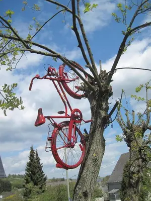 Radfahren an der Unterkunft Landhaus Müller am Nationalpark Hunsrück-Hochwald oder in der Nähe