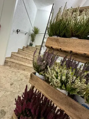 Ein Garten an der Unterkunft Via Roma 257 Apartament