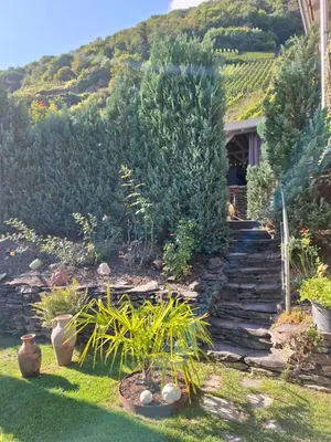 Ein Garten an der Unterkunft Haus der Weinkönigin Kristina