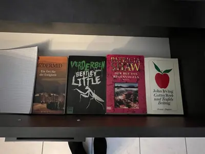 Die Bibliothek in der Ferienwohnung