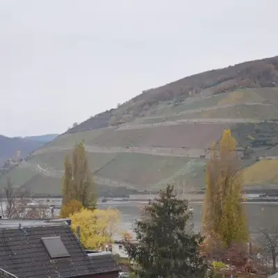 RheinBlick