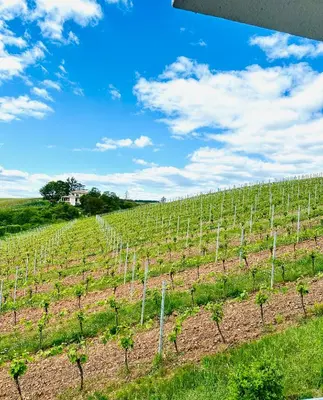 Naturlandschaft in der Nähe der Ferienwohnung