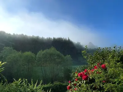 Naturlandschaft in der Nähe des Ferienhauses