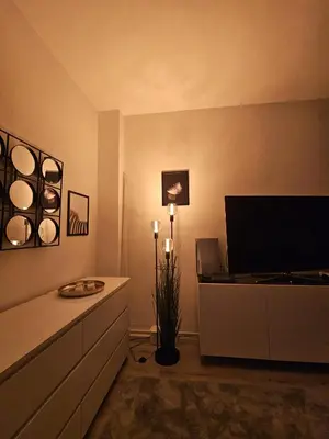 TV/Unterhaltungsangebot in der Unterkunft Moderne 2 Zimmer 70 qm Wohnung in Top Altstadtlage
