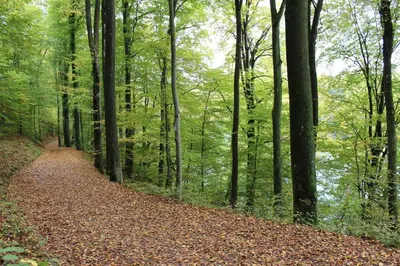 Naturlandschaft in der Nähe der Ferienwohnung