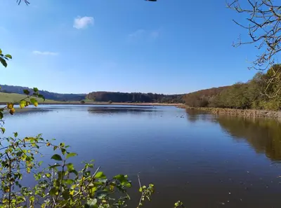 Naturlandschaft in der Nähe der Ferienwohnung