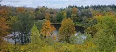 Naturlandschaft in der Nähe der Ferienwohnung