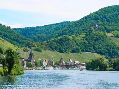 Grundriss der Unterkunft Wine Country Apartment