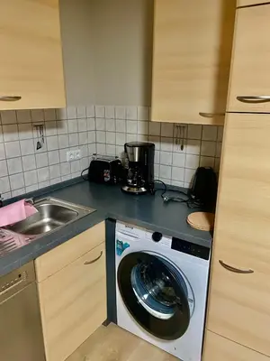 Küche/Küchenzeile in der Unterkunft Apartment Dobias